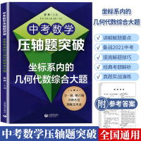 中考数学压轴题突破坐标系内的代数几何综合大题 初中数学七八九年级2021中考数学刷题初中数学解题技巧教材 初中上海教