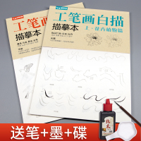 经典全集 [送笔墨碟]工笔画白描描摹本上下2册/基础训练篇+强化提高篇 花卉植物禽鸟动物绘画临摹本入门零基础书教材超