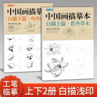 美学大师 中国画描摹本工笔画上下2册/基础训练篇+强化提高篇 花卉草木鸟兽鱼虫绘画临摹本入门零基础书教材超级线条浅印