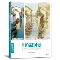 经典全集 色彩风景水粉画临摹书籍写生联考艺考对应照片杭州国美精湛范画入门教程画册范本 杨建飞主编