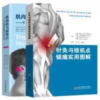 针灸与扳机点镇痛实用图解+肌肉链与扳机点 手法镇痛的新理念及其应用 第二版 两本 山东科学技术出版社 推拿 按摩 解剖