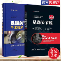 两本套装 足踝关节镜+足踝关节镜手术技术 关节镜高级技术系列 骨科和足踝外科医师学习踝关节镜技术教材