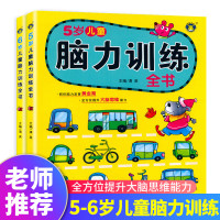 5-6岁儿童脑力训练全书 幼儿智力开发数学启蒙思维游戏4到6岁宝宝全脑开发大脑专注力思维训练智力大迷宫找不同找茬连线书