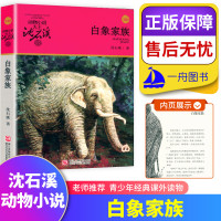 白象家族 动物小说大王沈石溪系列典藏青少年经典课外读物 儿童课外书 9-15岁儿童文学入选中小学教材课外阅读课标书品藏
