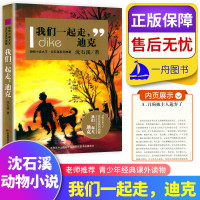 我们一起走,迪克dike 动物小说大王沈石溪系列典藏青少年经典课外读物 儿童课外书 9-15岁儿童文学入选中小学教材