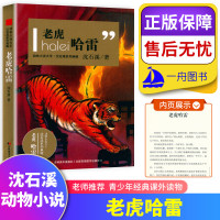 老虎哈雷halei 动物小说大王沈石溪系列典藏青少年经典课外读物 儿童课外书 9-15岁儿童文学入选中小学教材课外阅读