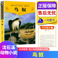 鸟奴 动物小说大王沈石溪系列典藏青少年经典课外读物 儿童课外书 9-15岁儿童文学入选中小学教材课外阅读课标书品藏书系