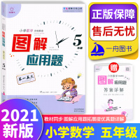 2021新版 全脑图书图解应用题举一反三五年级小学数学思维解密小学生5年级上下册数学图解应用题拓展提优真题详解特级教师
