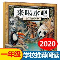 来喝水吧 精装硬皮绘本0-1-2-3-4-5-6周岁幼儿宝宝启蒙早教图画书籍一年级课外阅读物葛瑞米贝斯丛林三部曲国外获