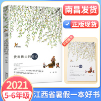 [南昌发货]2021年暑假课外阅读 货郎挑走的时光 王往/著 8-9-12岁小学生5-6年级暑假课外阅读 儿童文学小说