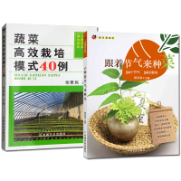 正版 2册 跟着节气来种菜/蔬菜高效栽培模式40例 蔬菜种植书 绿色蔬菜种植技术书籍 蔬菜栽培指南 中国农业出版社