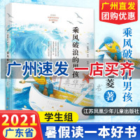 广州发货 乘风破浪的男孩 赵菱 一路繁花系列儿童文学 7-12岁二三四五六年级小学生课外阅读书 2021暑假读一本好书