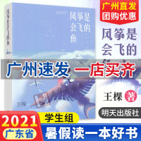 广州发货 风筝是会飞的鱼 王棵著 守礁军人书写中国南沙群岛的儿童小说 中小学生课外阅读书籍 2021暑假读一本好书 明