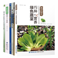 正版书籍 蔬菜栽培6册 绿色蔬菜栽培入门手册+蔬菜病虫害诊断与绿色防控+蔬菜安全高效施肥等 家庭蔬菜栽培 中国农业出