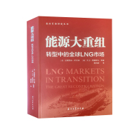 能源大重组 转型中的全球LNG市场 安娜索菲&middot;柯尔博,大卫&middot;莱德斯马等 97