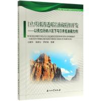巨厚特低渗透砾岩油藏精细开发--以克拉玛依八区下乌尔禾组油藏为例/准噶尔盆地油气勘