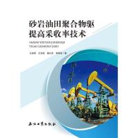 砂岩油田聚合物驱提高采收率技术 王渝明 著 促销1石油工业出版社9787518333479