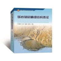 砾岩储层精细结构表征 李顺明 著 石油工业出版社 9787518333202