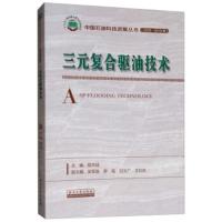 三元复合驱油技术 程杰成 吴军政 罗凯 白文广 王红庄 编 中国石油科技进展丛书 2006—2015年 石油工业出版社