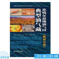 准噶尔盆地油气田典型油气藏(腹部分册) 陈新发 支东明 等著 准噶尔盆地油气勘探开发系列丛书促销1石油工业出版社978