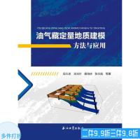 油气藏定量地质建模方法与应用 段太忠 王光付 廉培庆 张文彪 编 促销1石油工业出版社9787518325955石油工