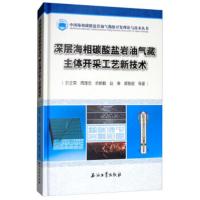 深层海相碳酸盐岩油气藏主体开采工艺新技术 叶正荣,周理志,佘朝毅,赵春,裘智超 等 石油工业出版社 978751832
