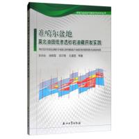 准噶尔盆地莫北油田低渗透砂岩油藏开发实践 彭永灿,钱根葆,邱子刚,孔垂显,华美瑞 等 石油工业出版社 97875183