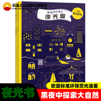 全套2册黑暗中的亮点 夜光城 夜游大自然 佩特拉巴拉提科瓦 幼儿启蒙认知绘本图画书 亲子睡前互动 发现黑夜中的大自然