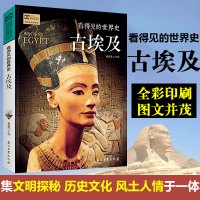 看得见的世界史 古埃及 世界历史全球通史系列 非洲史 揭秘古埃及文明古国的历史 埃及历史书籍 成人版历史青少年历史课外