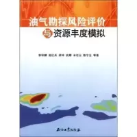 油气勘探风险评价与资源风度模拟 9787502173944