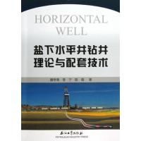 盐下水平井钻井理论与配套技术 9787502193966