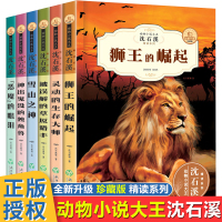 动物小说大王沈石溪精读系列全套6册狮王的崛起儿童文学读物6-9-12岁小学生三四五六年级课外阅读书籍动物小说大王沈
