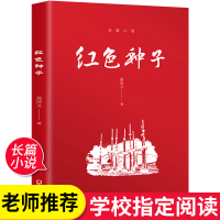 红色种子书籍 故事背景从新中国成立横跨到到改革开放 写尽大时代背景下起伏的小人物命运与悲欢离合 致敬人民英雄及无名烈士