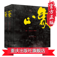 《心象南平笔谈》四川美术学院副教授周南平 艺术绘画理论文集 《鸡毛信》《创作基础教程》《动漫的历史》 重庆cq