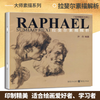 拉斐尔素描解析 大师素描系列名师解析素描 分析了其技法 深入讲解印制精美 适合绘画爱好者、学习者 重庆cq