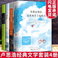 卢思浩 套装4册 正版 愿有人陪你颠沛流离+你也走了很远的路吧+离开前请叫醒我+你要去相信,没有到不了的明天 现当代经