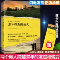 w那不勒斯的萤火 马西米利亚诺·威尔吉利奥著 [赠精美书签]媲美追风筝的人阿甘正传 排行榜正版 外国现当代