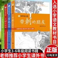 四季读不停系列宗介华著丛书全套4册 带刺的朋友奇妙的田螺会飞的伙伴雪地追踪儿童文学读物童话故事小学生四五六年级课外阅读