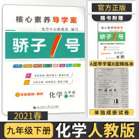 [正版][电子答案]2021春骄子一号九年级化学下人教版精练本+导学案