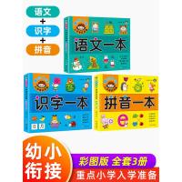 [正版]幼小衔接教材全套3册3-6岁儿童拼音拼读训练学习语文练习 幼升小一日一练幼儿识字书 启蒙 认字 看图识字早教书小