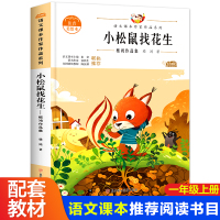 [正版]小松鼠找花生注音版一年级上册阅读课外书老师 带拼音的儿童绘本文学6—8岁故事书图书小学生1年级上学期课外经典