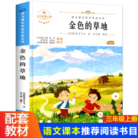 【正版】金色的草地 三年级阅读课外书上册老师正版 适合小学四年级五年级看的儿童文学作品书籍经典书目小学生课外读物图书