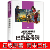 [正版]巴黎圣母院书正版 原著 雨果的书籍 初高中课外书名著书籍初一二三课外阅读 书排行榜世界外国小说文学 经典
