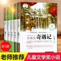 [正版]小布头奇遇记全5册月光下的肚肚狼小学生课外阅读书籍6-7-8-10-12-15周岁儿童读物正版冰波著孙幼军三四五