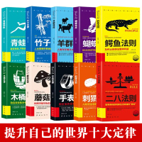 [正版][超级成功者的神奇定律]10大定律竹子定律木桶定律刺猬法则二八蝴蝶效应书鳄鱼法则手表蘑菇定律羊群效应青蛙励志书籍