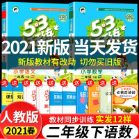 [正版]2021年新版小学53天天练二年级下册数学语文书全套人教版5+3五三5.3小儿郎课堂笔记同步训练试卷全优卷测