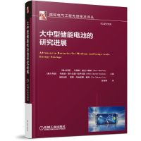[正版]大中型储能电池的研究进展