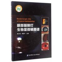 [正版]眼部裂隙灯生物显微镜图谱(精)
