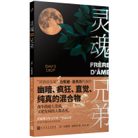 [正版]正版 灵魂兄弟 2021年国际布克奖 词语音乐家达维德迪奥普代表作 揭示荒谬的真相 人民文学出版社社会小说外国文