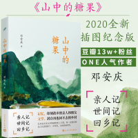 [正版]正版新版 山中的糖果 豆瓣大V/ONE邓安庆成熟代表作 献给每个融不进城市又回不去故乡漂泊者治愈系文学正能量小说